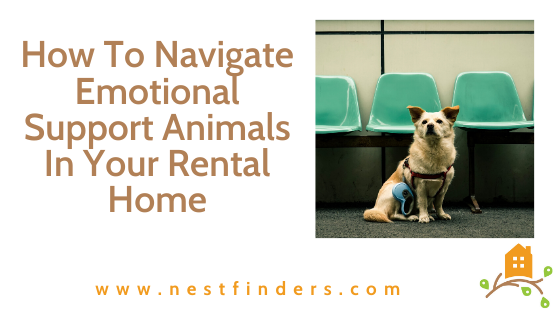 How To Navigate Emotional Support Animals In Your Rental Home